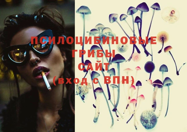 героин Горняк