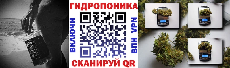 Шишки марихуана Amnesia наркошоп маркетплейс состав Петухово